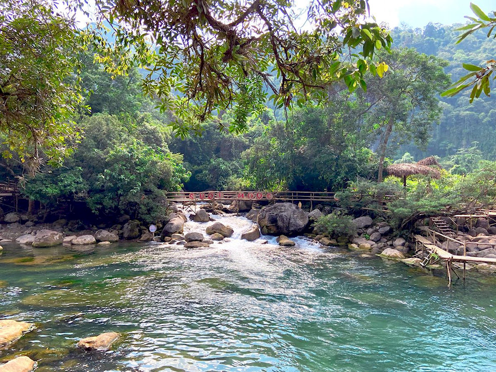 The stream’s pristine waters are surrounded by vibrant flora, creating a serene atmosphere where visitors can unwind and connect with nature